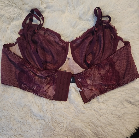 Torrid Dot Lace Bra size 3 - Picture 2 of 6